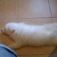 Photo #260938 de yuki