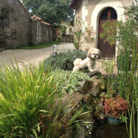 Photo #260962 de Socrate 
