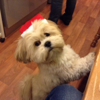 Photo #260963 de Socrate 