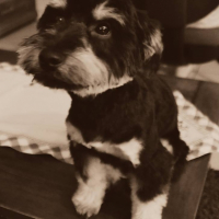 Photo #261104 de Eliott