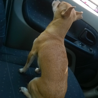 Photo #261122 de Dora