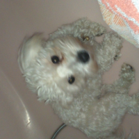 Photo #261128 de lucky