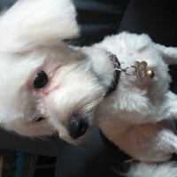 Photo #261129 de lucky