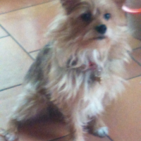 Photo #261168 de nala