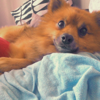 Photo #261360 de filou