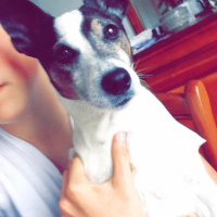 Photo #261438 de Arry