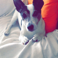 Photo #261442 de Arry