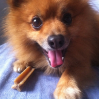 Photo #261513 de filou