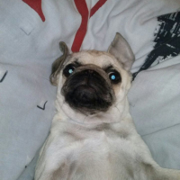 Photo #261553 de ilton