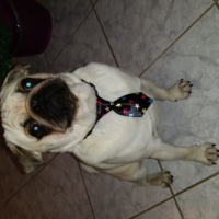 Photo #261558 de ilton