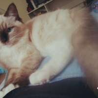 Photo #261694 de Love