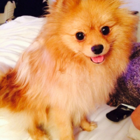 Photo #261846 de Jazz'Y