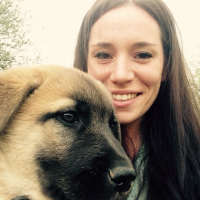 Photo #261909 de Thor