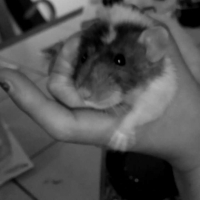 Photo #261926 de Lara