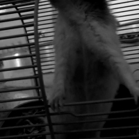 Photo #261928 de Lara