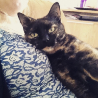 Photo #262098 de Luna 