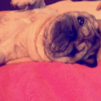 Photo #262129 de bobine