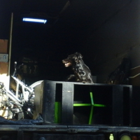 Photo #262165 de Doum