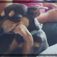 Photo #262213 de Kalvin
