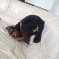 Photo #262255 de Laëla
