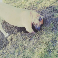 Photo #262265 de Adhes