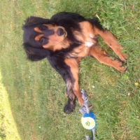 Photo #262266 de Laëla