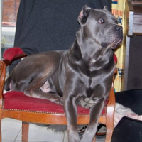 Photo #262498 de UGO 