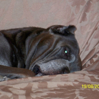 Photo #262502 de UGO 