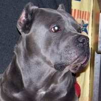 Photo #262503 de UGO 