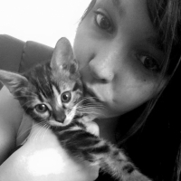 Photo de l'animal n°36784