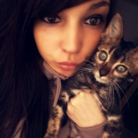 Photo #262515 de Meeko