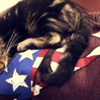 Photo #262517 de Meeko