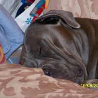 Photo #262544 de GORMO
