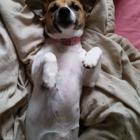 Photo #262560 de Jyve