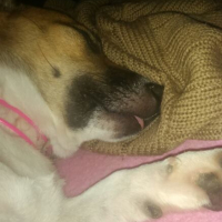 Photo #262562 de Jyve