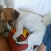 Photo #262563 de Jyve