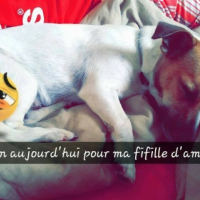 Photo #262564 de Jyve