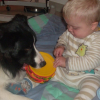Photo de l'animal n°36831