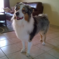 Photo #262697 de Ilio