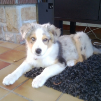 Photo #262698 de Ilio