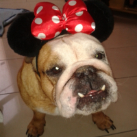 Photo #262761 de vicky