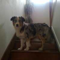 Photo #263048 de Java