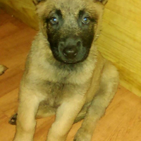 Photo #263069 de Lucky 
