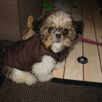 Photo #263130 de Patton