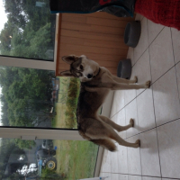 Photo #263191 de Idra