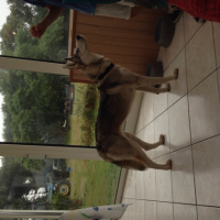 Photo #263192 de Idra
