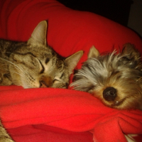 Photo #263222 de haziel
