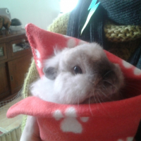 Photo #263223 de haziel