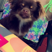 Photo #263339 de Kyto 