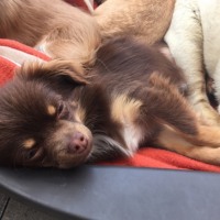 Photo #263342 de Kyto 